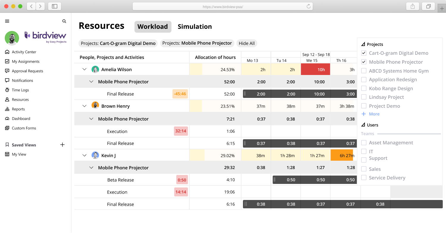 Birdview PSA - Logiciel de planification de la capacité tout-en-un pour les sociétés de services professionnels